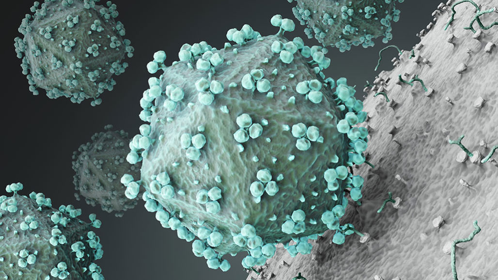 HVTN 702 clinical trial of an HIV vaccine stopped